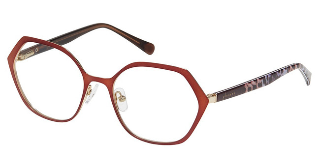 PHOEBE Eyeglasses P339 BROWN/BRN