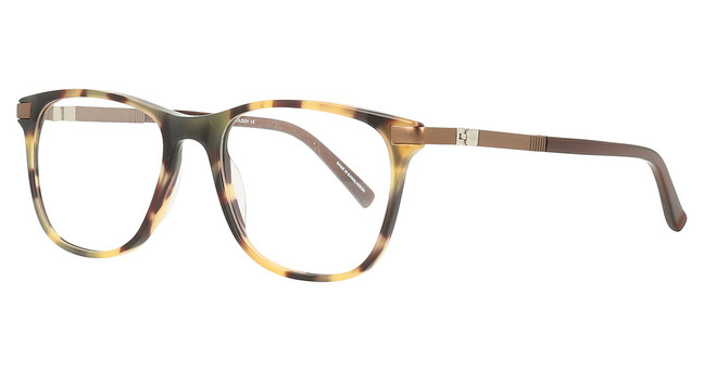 Easyclip Eyeglasses EC555 Demi Amber & Matt Brown / Matt Brown/10