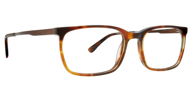 Argyleculture Eyeglasses Gilmour Brown Horn/BRHN