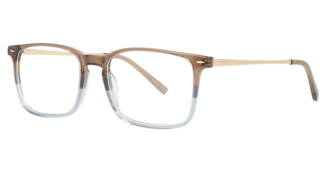 Adin Thomas Eyeglasses AT-518 Taupe Multi / Gold/2