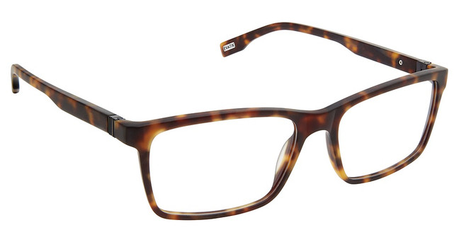 Evatik Eyeglasses EVATIK 9229 MATTE TORTOISE/M412