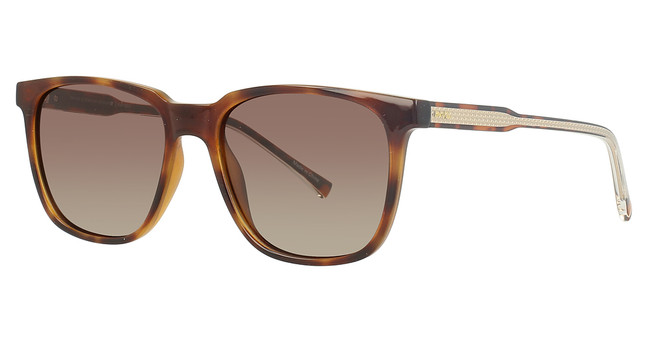 INVU Eyeglasses INVU-256 Warm Demi / Gold/2