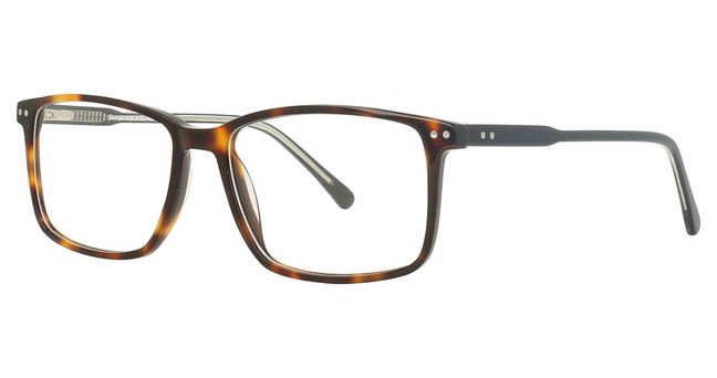 Vue Eyeglasses EV1445 LIGHT TORTOISE/C1