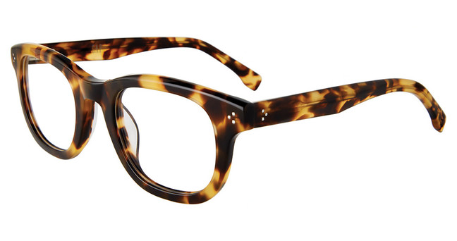 GAP Eyeglasses VGP025 Havana 0HAV