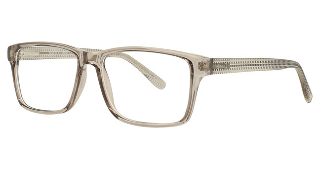 Advantage Eyeglasses M810 GREY TRANSPARENT
