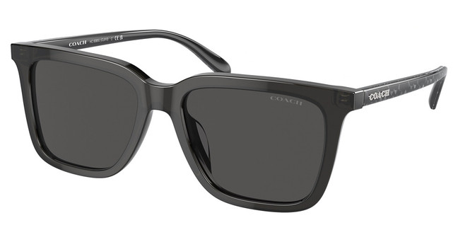 COACH Eyeglasses HC8385U CL910 TRANSPARENT DARK GREY/579387