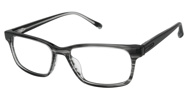 Barbour Eyeglasses BAOM010 Grey/GRY