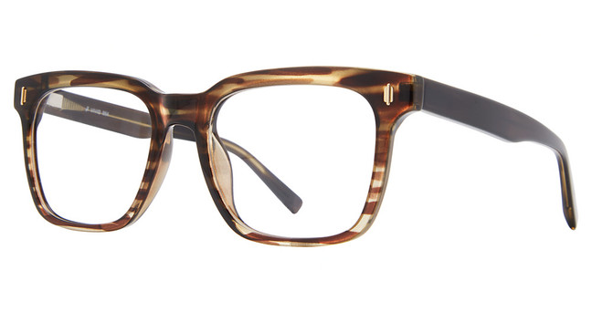 Vivid Eyeglasses VIVID 954 demi brown gradient