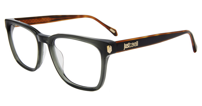 Just Cavalli Eyeglasses VJC080V Transp. Grey 06SB