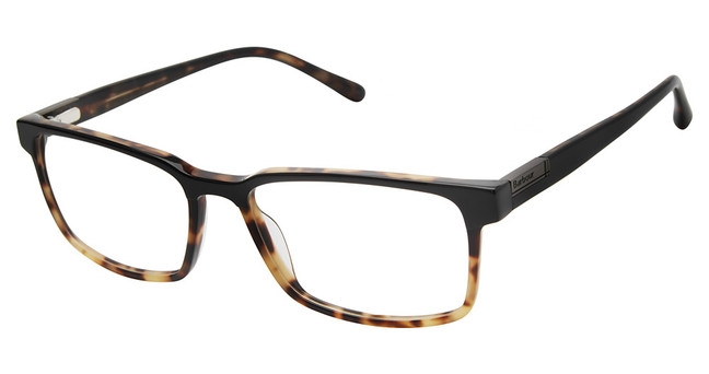 Barbour Eyeglasses BAOM012 Black/BLK