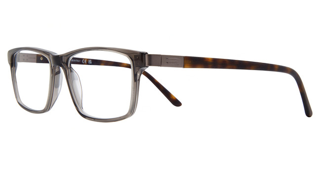 Safilo Elasta Eyeglasses E 3132 GRY CRY/0CBL