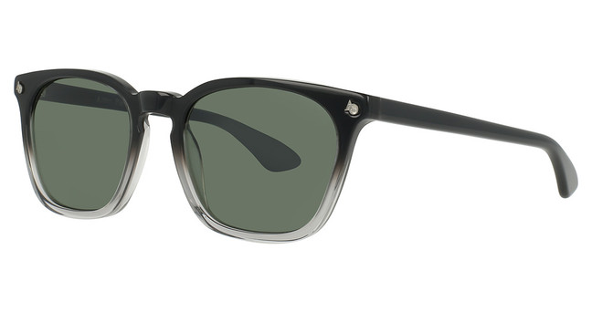 AO Eyewear Eyeglasses Alden Black Smoke/2