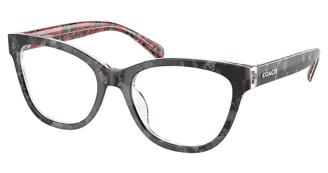 COACH Eyeglasses HC6249U BLACK TORTOISE / PINK FL/5856