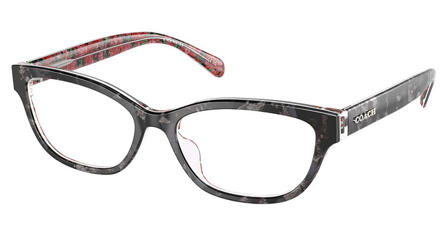 COACH Eyeglasses HC6250U BLACK TORTOISE / PINK FL/5856