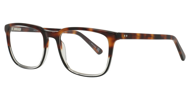 Alexander Julian Eyeglasses Regan Tortoise