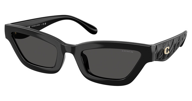 COACH Eyeglasses HC8420U CAD28 BLACK/500287