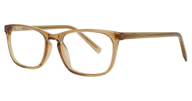 Otego Optical Eyeglasses INDIANA BROWN/C-4