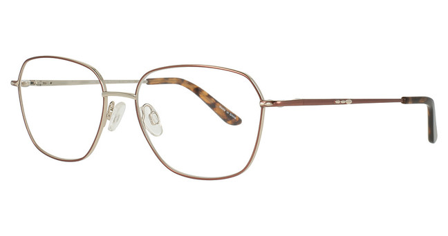 Cargo Eyeglasses C5509 Bronze & Silver/15