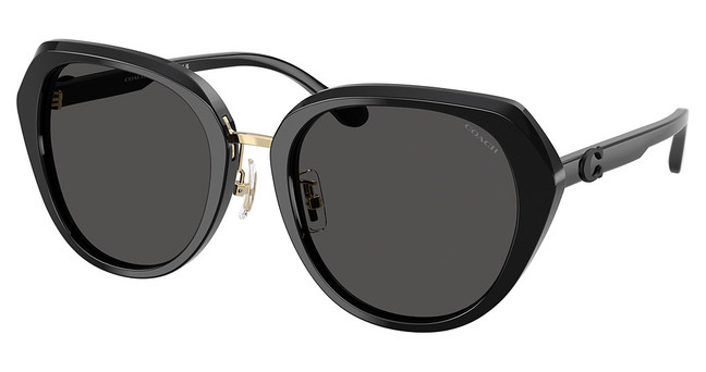 COACH Eyeglasses HC8436 CBY93 BLACK/500287
