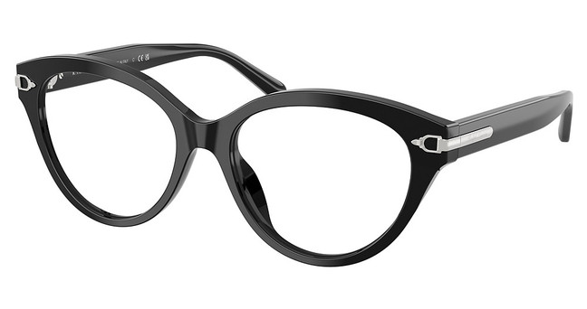 Ralph Lauren RL6256U SHINY BLACK/5001