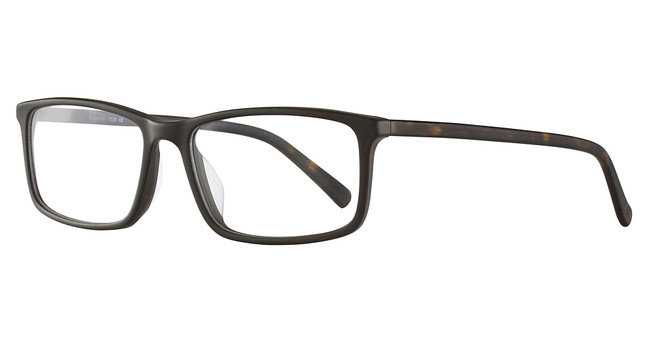 Esquire Eyeglasses 1528 Black/Tortoise
