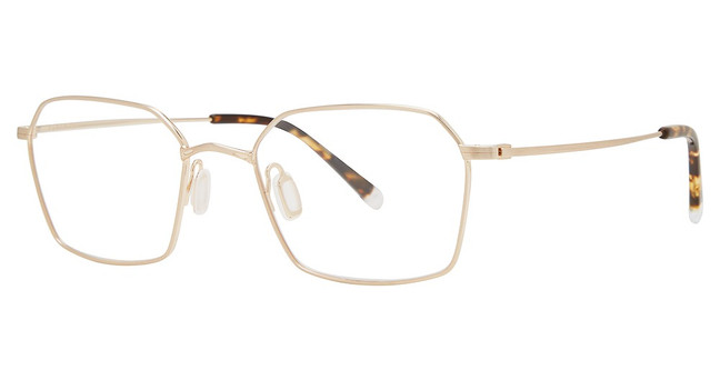 Paradigm Eyeglasses 19-02 Gold/YG