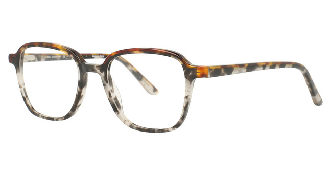 iChill Eyeglasses C7028 Demi Grey & Demi Amber/20