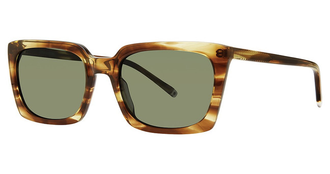 Paradigm Eyeglasses 20-62 Horn/HN