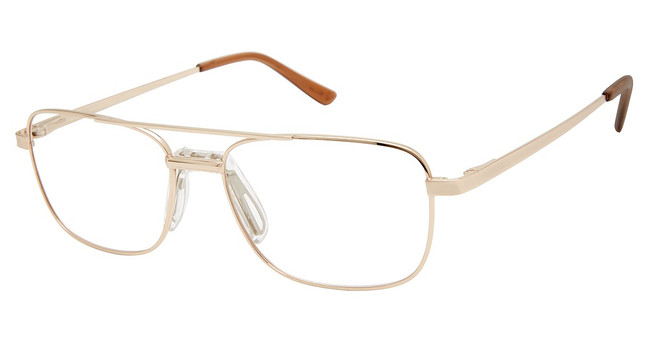 Aristar Eyeglasses AR 30717 White Gold/502
