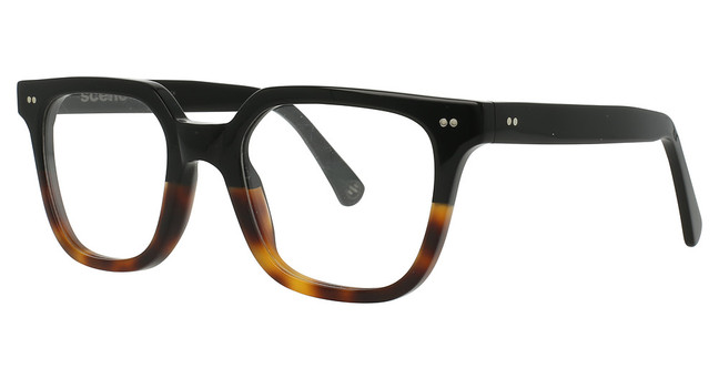 Scene Eyewear Eyeglasses Harper Black Tortoise