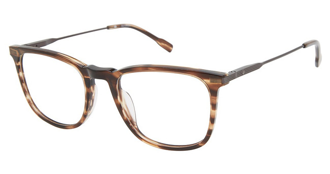 Sperry Eyeglasses GRANVILLE BROWN HORN/GUN/C01