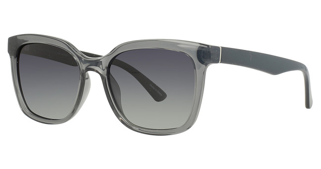 INVU Eyeglasses INVU-258 Smoke / Black/1
