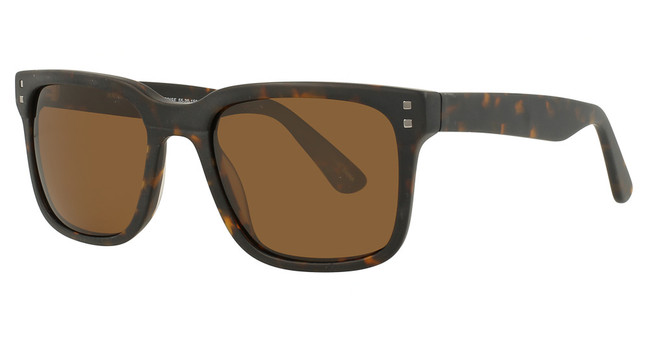 Haggar Eyeglasses HS2013 Mt. Tortoise/40