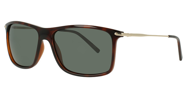 INVU INVU-338 Tortoise / Gold/2