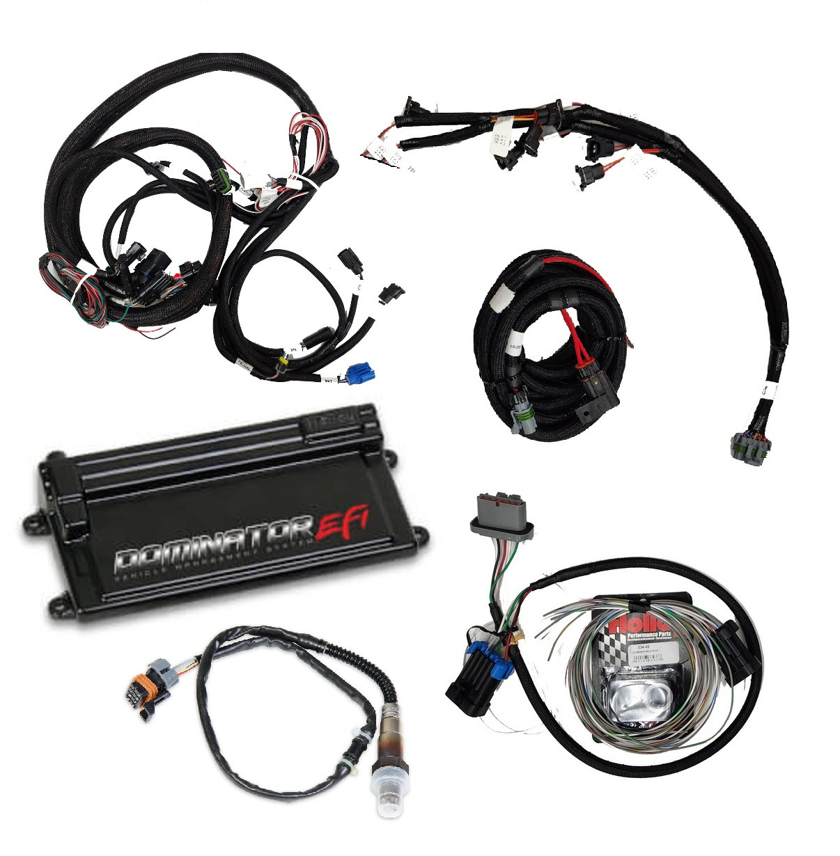 AFM-Holley Dominator EFI Fox Body Kit Gen. 3 - Anderson Ford