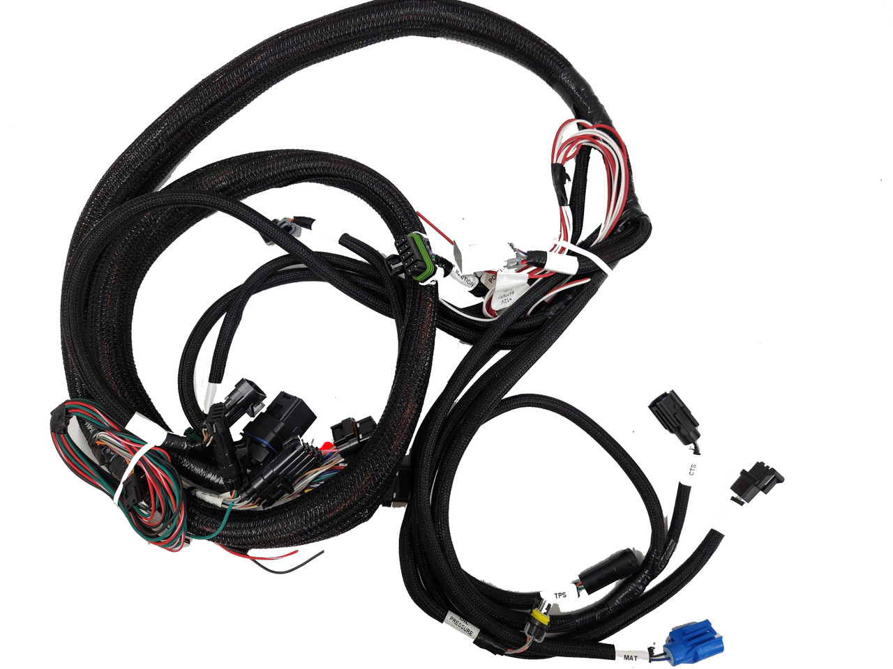 Aug Line HorusNEO+α XLR Terminator Aug Line HorusNEO+α XLR