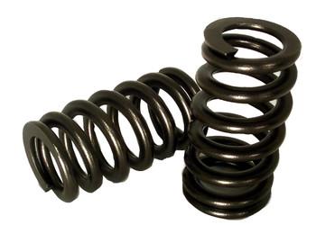 Valve_Springs_4ada53206f43b Valve_Springs_4ada53206f43b
