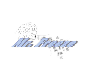 AFM MR. FREEZE Water / Methanol Injection System Gen. 3
