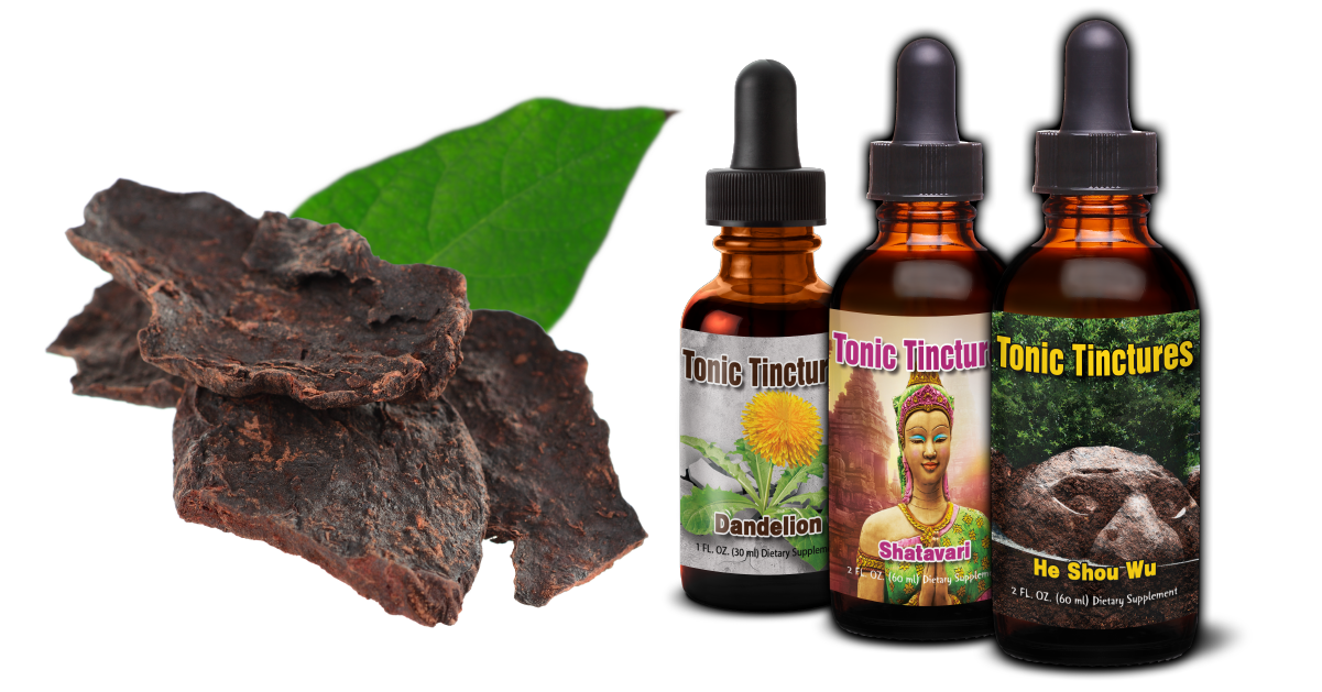 Botanical Roots