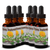 Tonic Tinctures Dandelion Root Liquid Extract Bottle 6 Pack