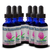 Tonic Tinctures Red Clover Liquid Extract 6 Pack