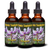 Tonic Tinctures Astragalus Liquid Extract Bottle 3 Pack