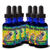 Tonic Tinctures Immuno-Bomb Echinacea and Goldenseal Liquid Extract Bottle 6 Pack