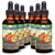 Tonic Tinctures Tummy Tonic Bitter Orange Liquid Extract Bottle 6 Pack
