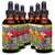 Tonic Tinctures Berry Blood Liquid Extract Bottle 6 Pack