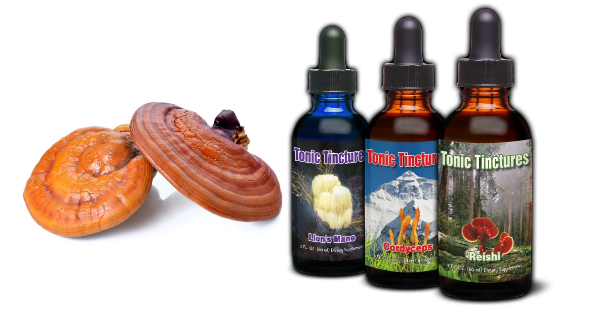 Tonic Mushroom Supplements Collection