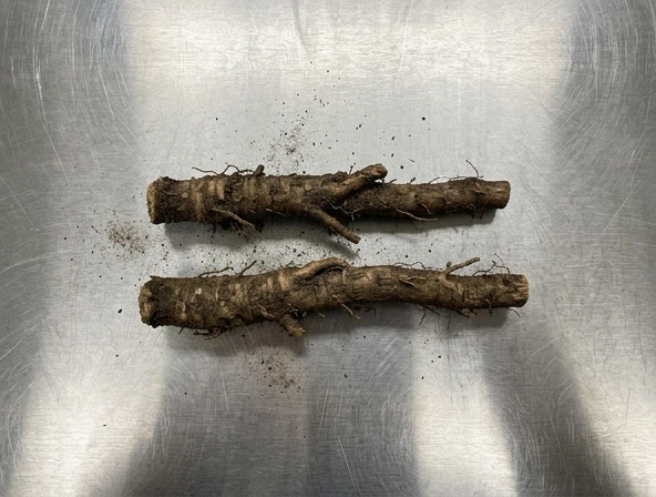 The Complete Guide to Dandelion Root: Benefits, Dosage, & Truths (Audio + Transcripts)