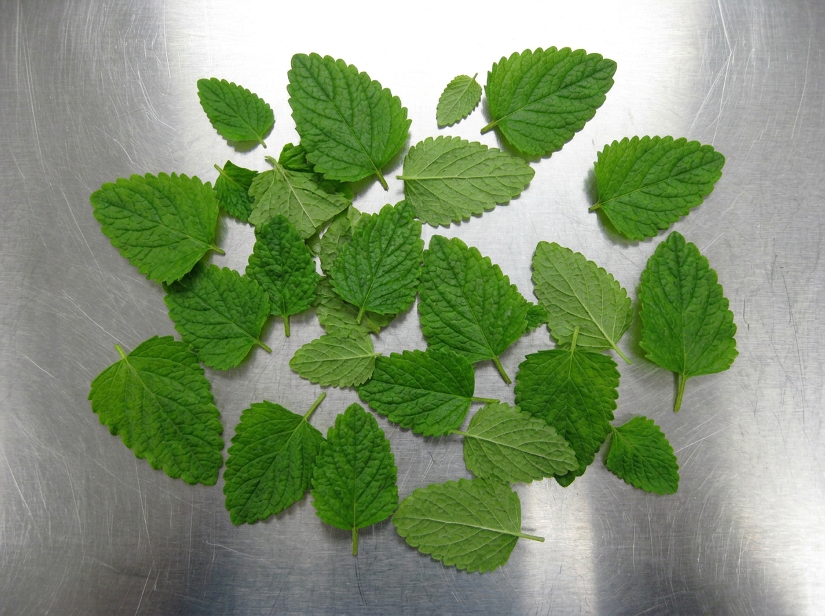 The Complete Guide to Lemon Balm: Benefits, Dosage, & Truths (Audio + Transcripts)
