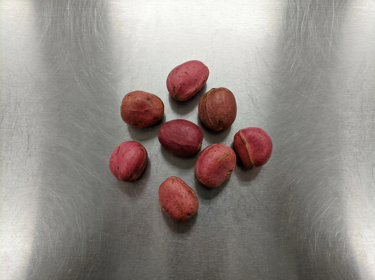 The Complete Guide to Kola Nut: Benefits, Dosage, & Truths (Audio + Transcripts)