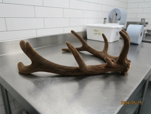 The Complete Guide to Deer Antler Velvet: Benefits, Dosage, & Truths (Audio + Transcripts)